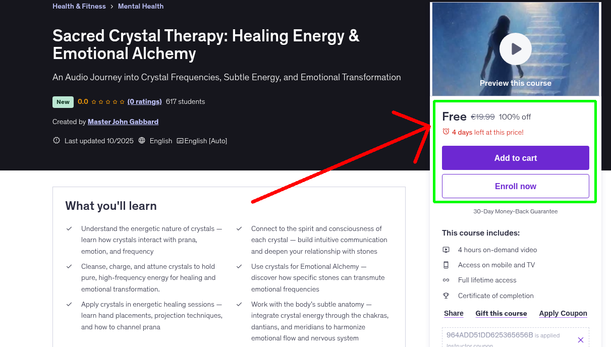 Sacred Crystal Therapy: Healing Energy & Emotional Alchemy