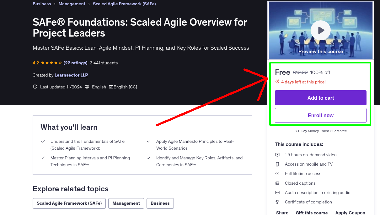 SAFe® Foundations: Scaled Agile Overview for Project Leaders
