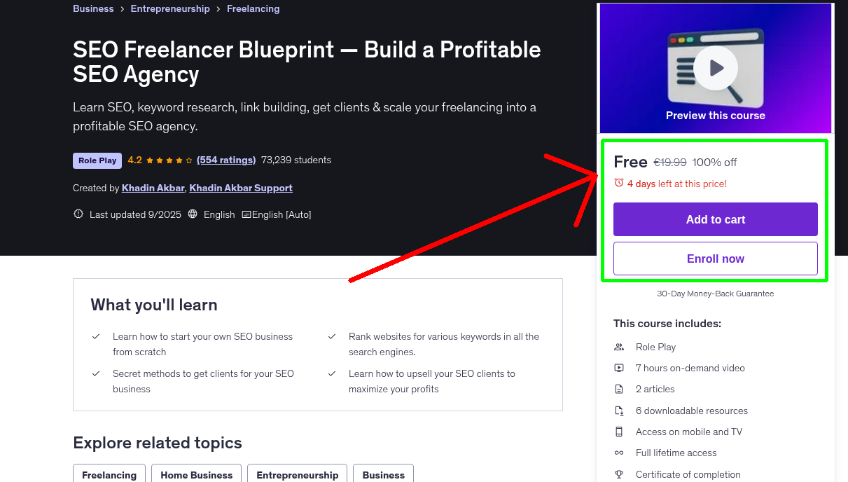 SEO Freelancer Blueprint — Build a Profitable SEO Agency