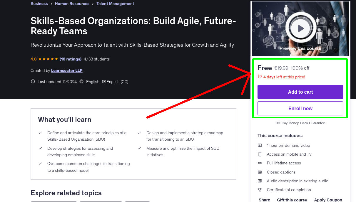 Skills-Based Organizations: Build Agile, Future-Ready Teams