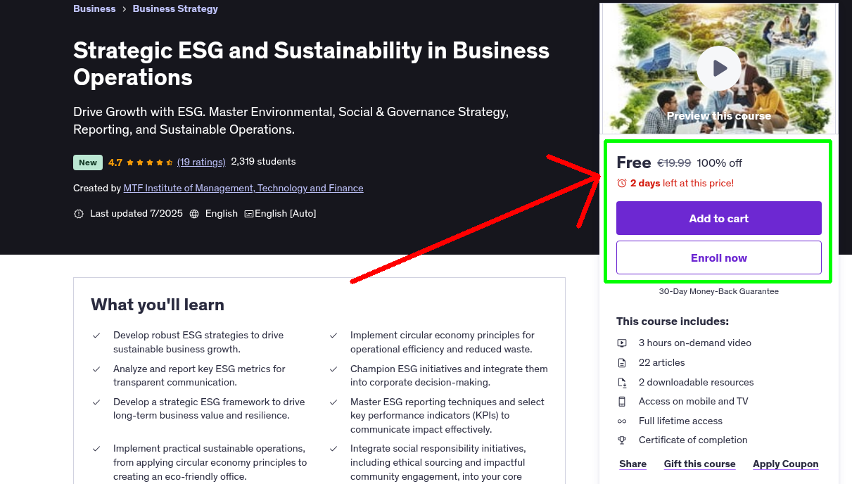 Strategic ESG and Sustainability in Business Operations