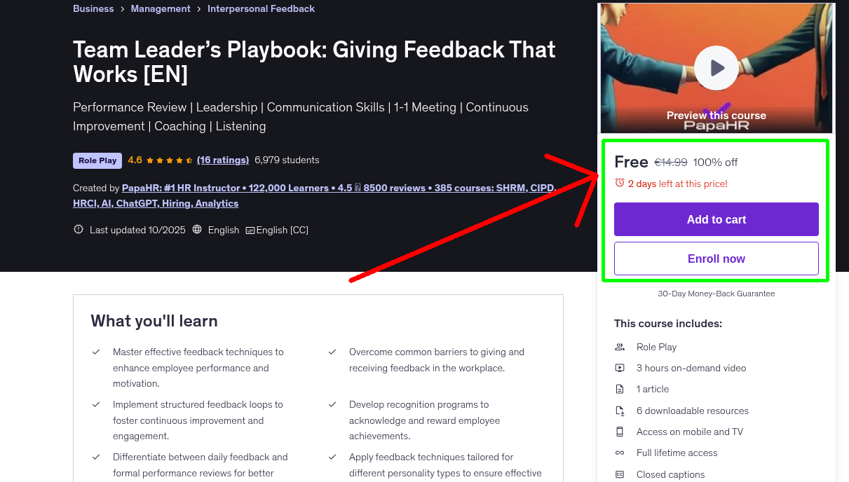 Team Leader’s Playbook: Giving Feedback That Works [EN]