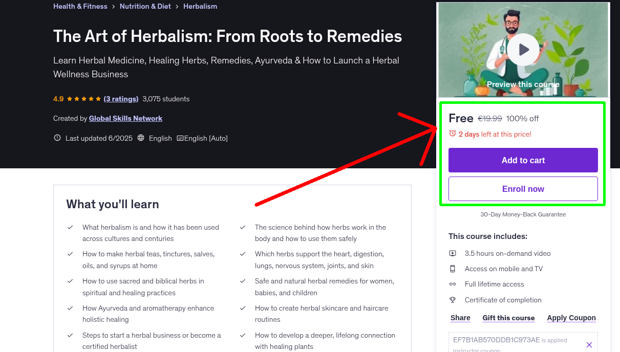 The Art of Herbalism: From Roots to Remedies