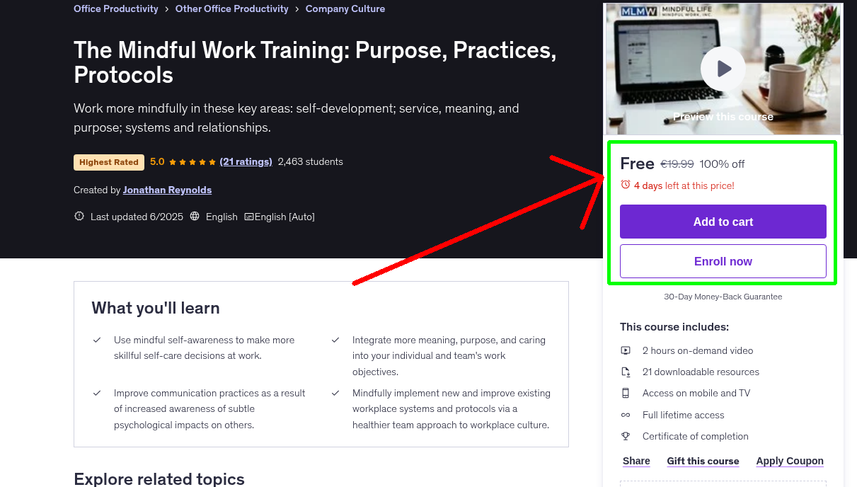 The Mindful Work Training: Purpose, Practices, Protocols