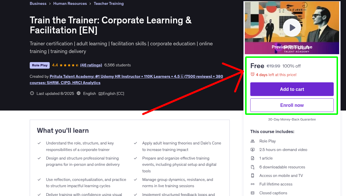 Train the Trainer: Corporate Learning & Facilitation [EN]
