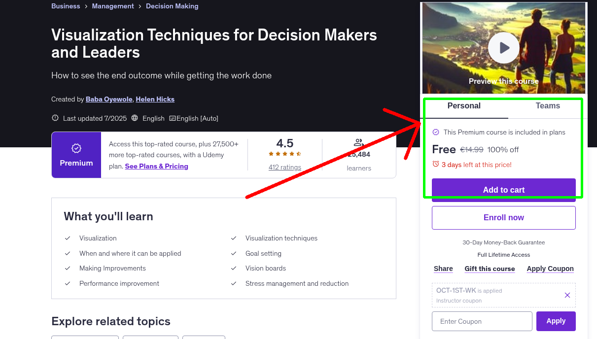 Visualization Techniques for Decision Makers and Leaders