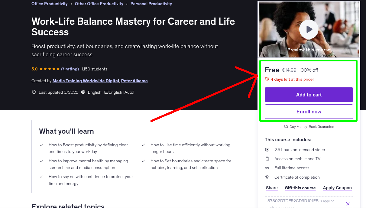 Work-Life Balance Mastery for Career and Life Success